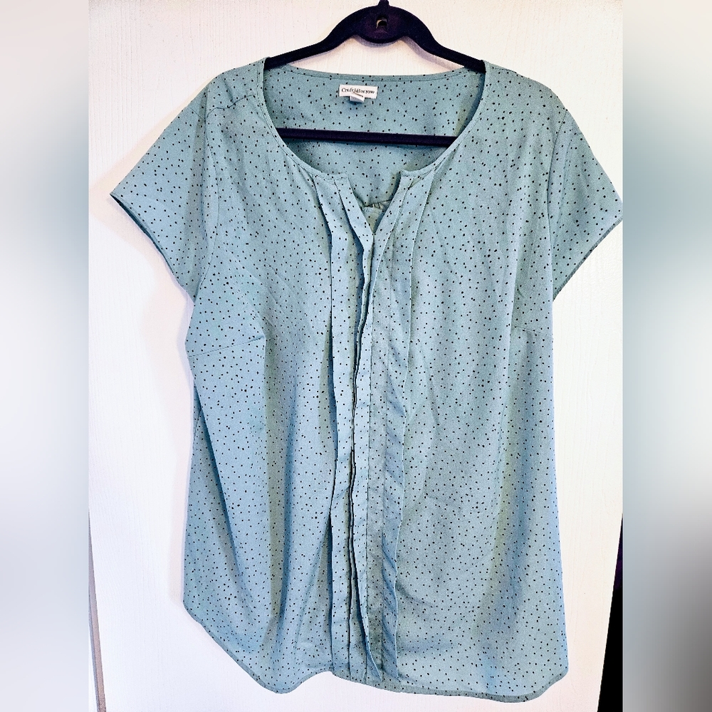 Womens top 2X